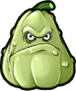 Squash In-Game Render
