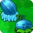Winter Melon1
