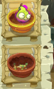 Aqua Vine being watered (animated)