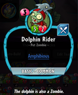 Dolphin Rider's statistics