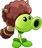 Peashooter (coonskin hat)