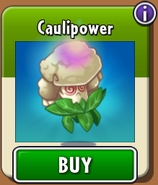 Caulipower in the new store