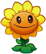 HD Sunflower