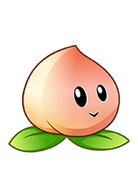 HD Heavenly Peach