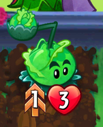 Cabbage-Pult with the Double Strike trait