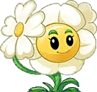 Impatiensshooter Seed Packet Image.png (35 KB) Seed packet image