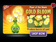 Gold Bloom featured as Plant of the Week