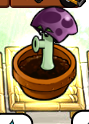 A left-facing Scaredy-shroom in daytime Zen Garden