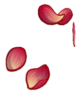 HD Petal-Morphosis