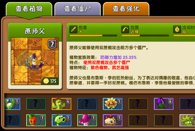 Morning Glory (Chinese version of Plants vs. Zombies 2)