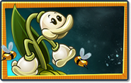MayBee's seed packet