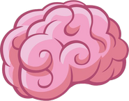 HD brain