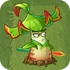 Leaf-Blade Dracaena2