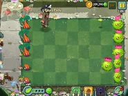 A Homing Thistle Piñata Party on March 23