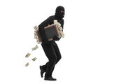 Theft-robbery.jpg