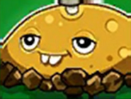 Potato Mine's icon as it appears in Garden Warfare 2