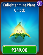 Enlighten-mint Plant Unlock in the store (10.9.1, Special)