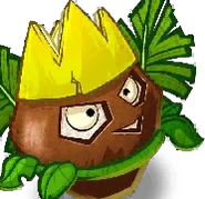 Loco Coco's card image