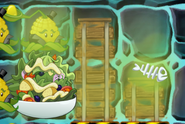 The Salad