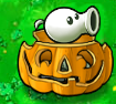 Imitater Peashooter in a Pumpkin