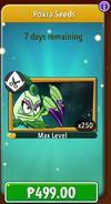 Pokra's seeds in the store (11.4.1, Promoted)