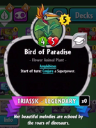 Bird of Paradise's statistics