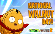 National Walnut Day