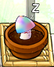 A sleeping small Hypno-shroom in Zen Garden