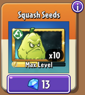 Squash's seeds in the store (9.7.1, Special)