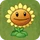 Sunflower2.png