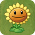 Sunflower2