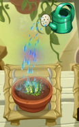 Tiger Grass being watered in the Zen Garden