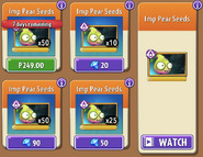 Imp Pear's seeds in the store (10.6.2, Special)