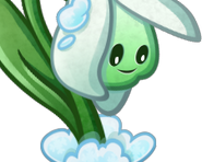 Snowdrop's card image