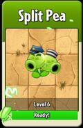 Split Pea's animation when it is ready to level up