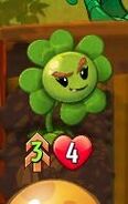 Plucky Clover with the Double Strike trait due to Coffee Grounds' ability