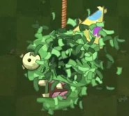 Birthdayz Party Señor Piñata's second degrade