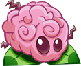 Seed packet image