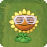 Sunflower (white lined sunglasses)