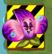 An endangered SeaFlora