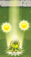 Plant Food ability