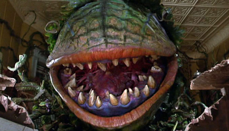 Chomper, Plants vs. Zombies Wiki