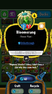 Bloomerang's statistics