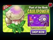 Caulipower featured as Plant of the Week