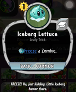 Iceberg Lettuce's statistics