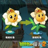 Narcissus' original design (left) and new design (right)