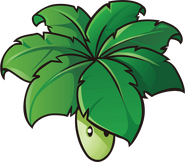 Umbrella Leaf