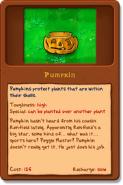 New Pumpkin almanac