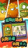 Pineapple line in advertisment prior to its release
