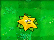 Starfruit with leaves